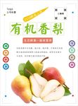 香梨海报