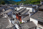 西递