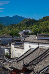 西递