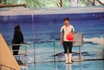 水族馆 海豹 表演 海狮 海狗
