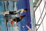 水族馆 海豹 表演 海狮 海狗