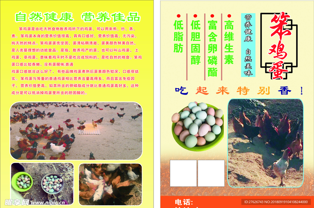 笨鸡蛋