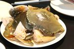 螃蟹