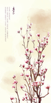 花 花枝素材