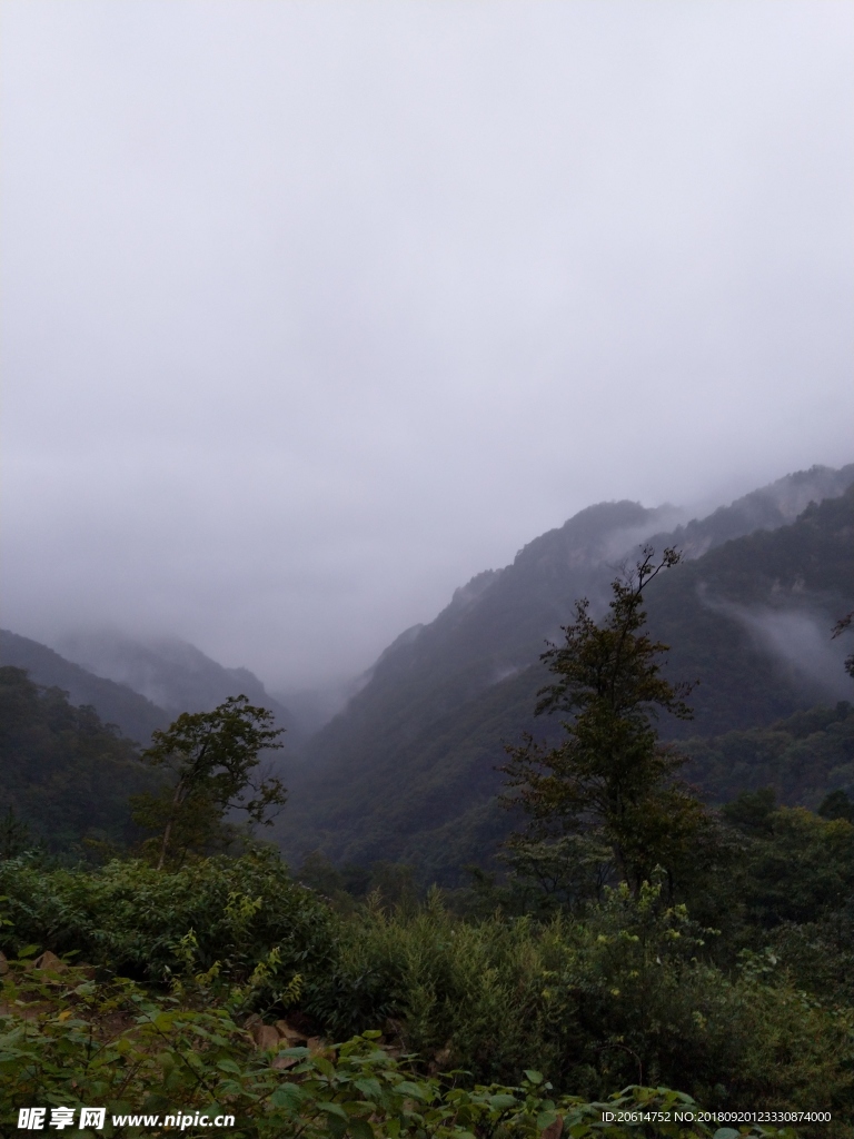 壮丽的高山风景