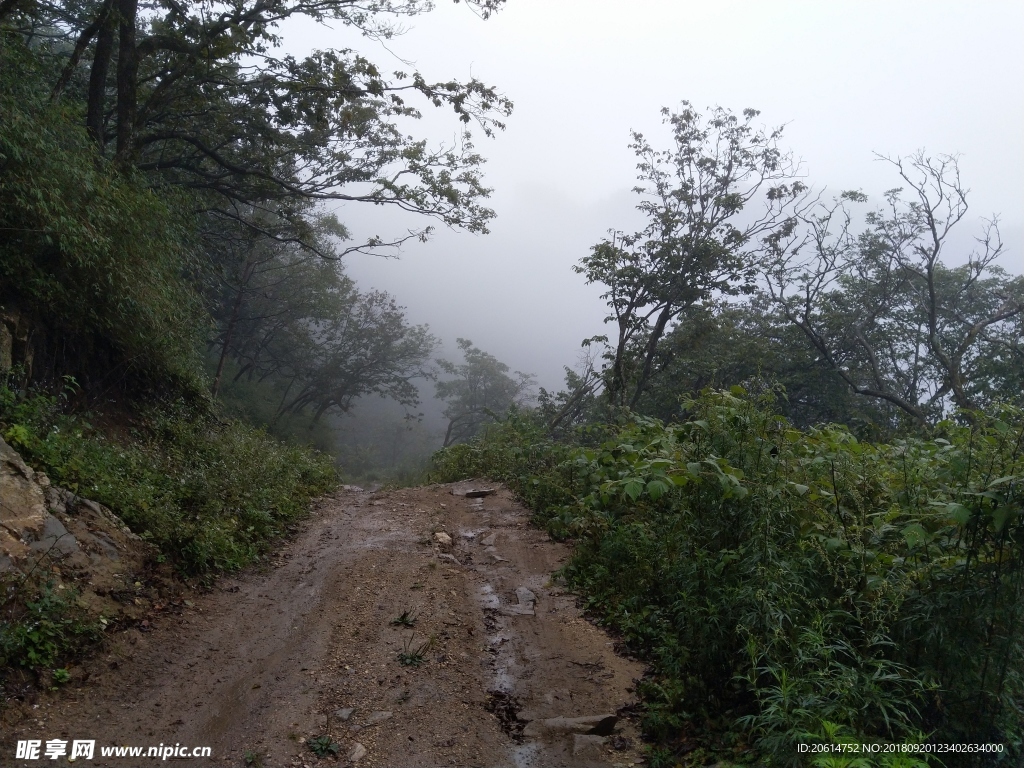 山路风景