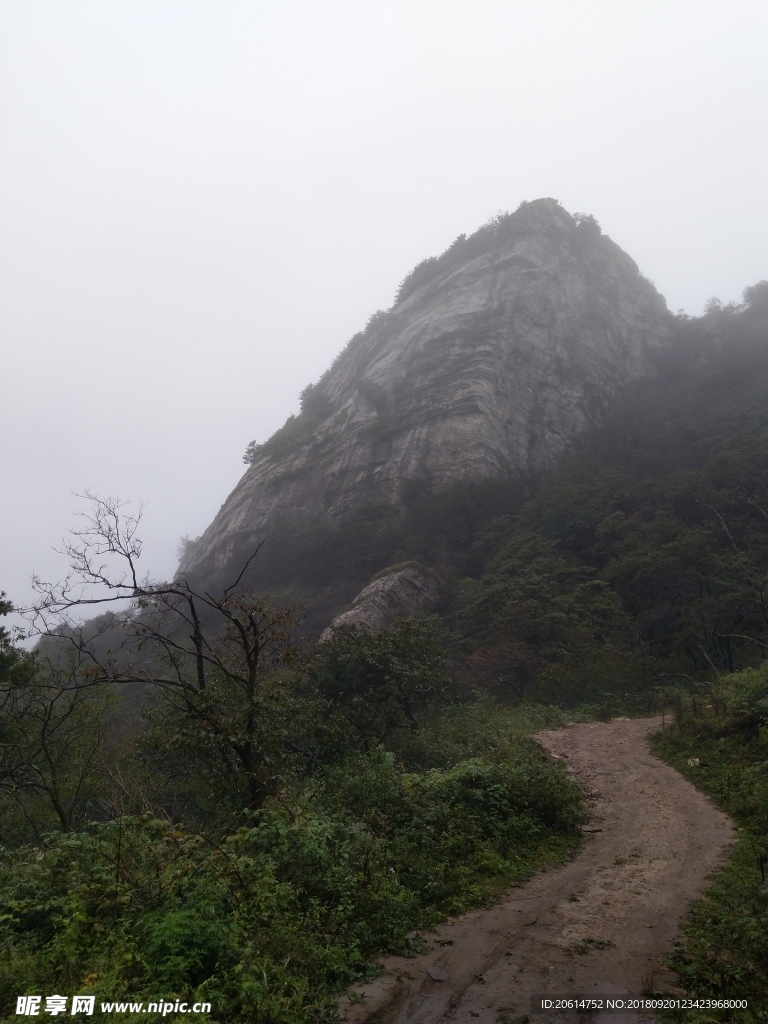 雨天下的高山风景