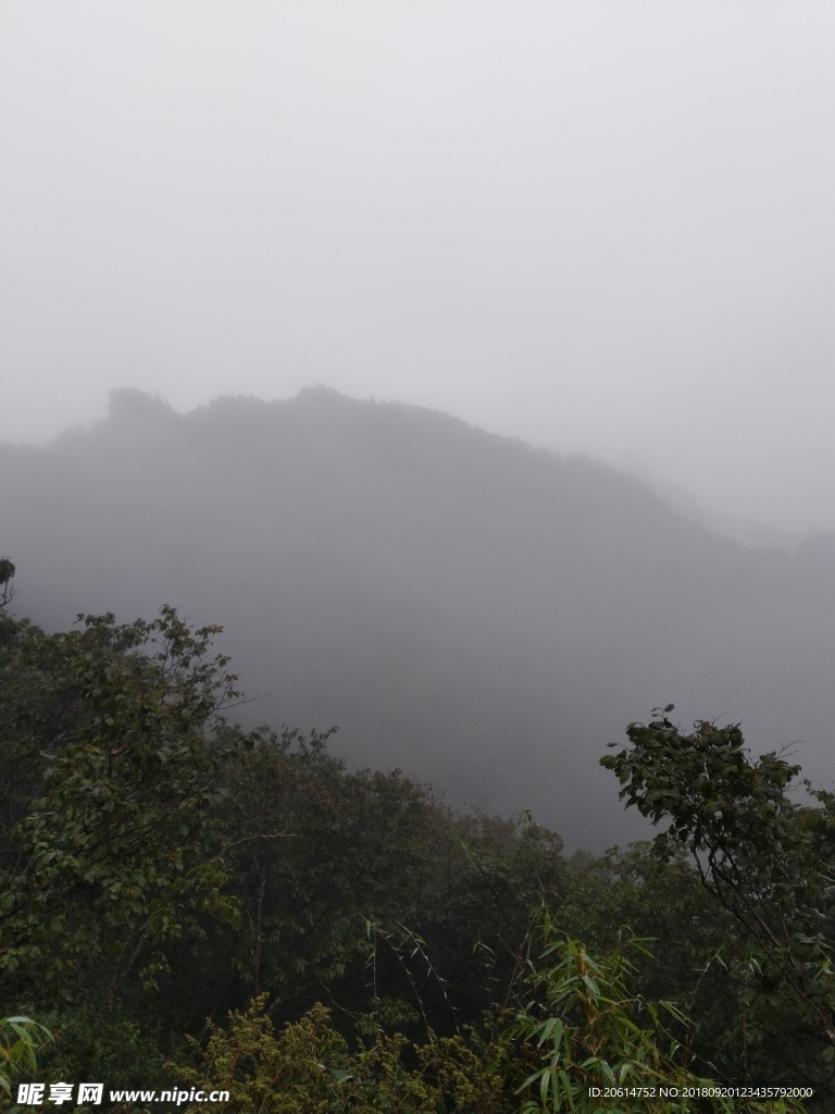 深山里的风景