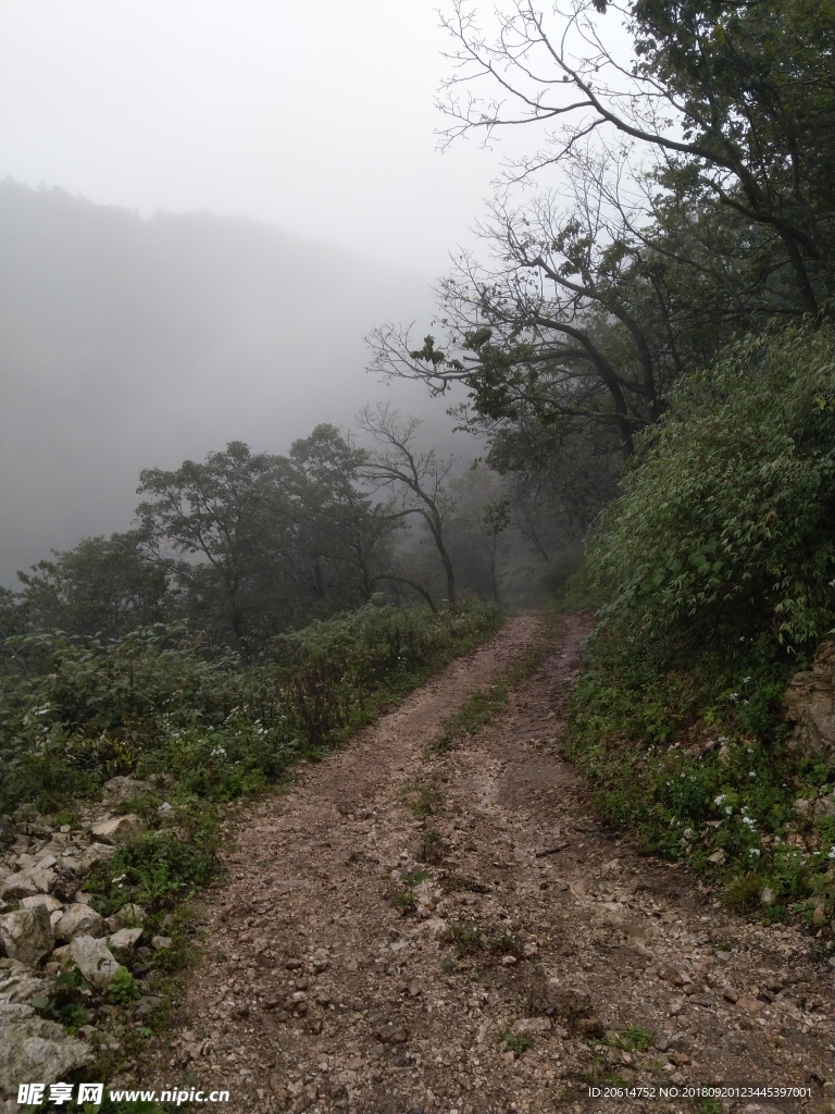 弯弯的山路