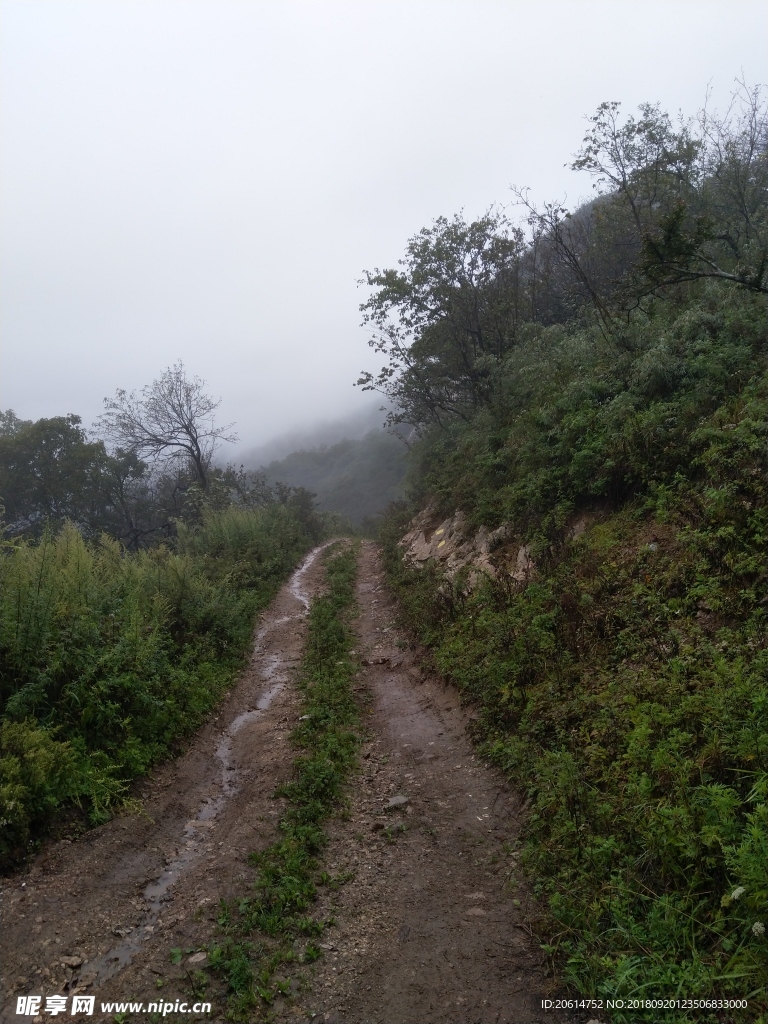 深山里的风景