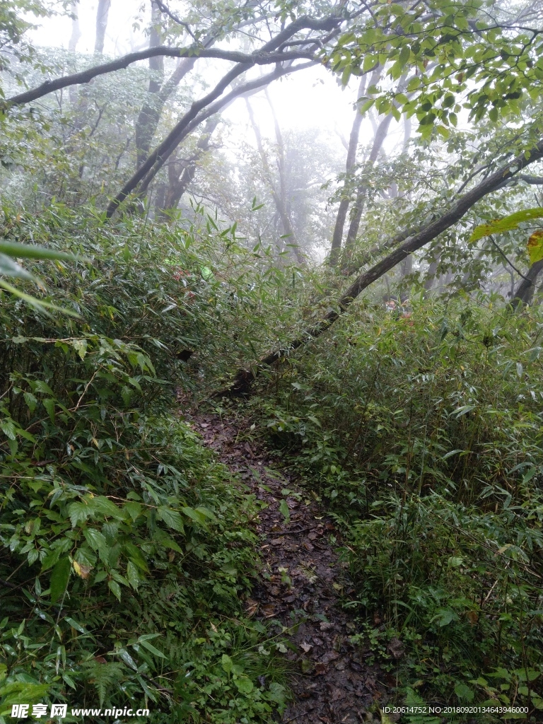 深山里的风景