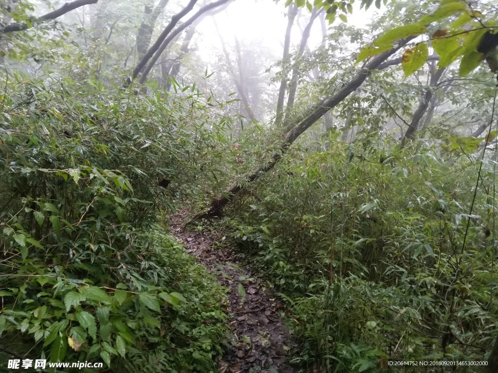 深山里的风景