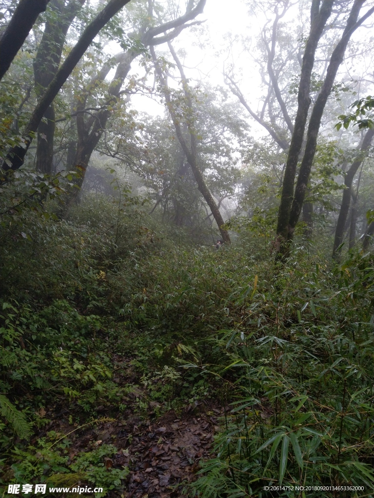 深山里的风景