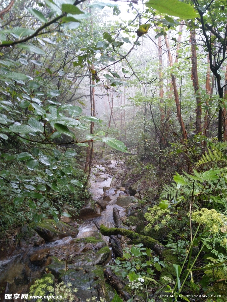 山涧溪流