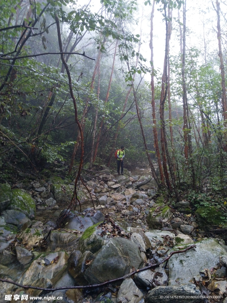 山涧溪流