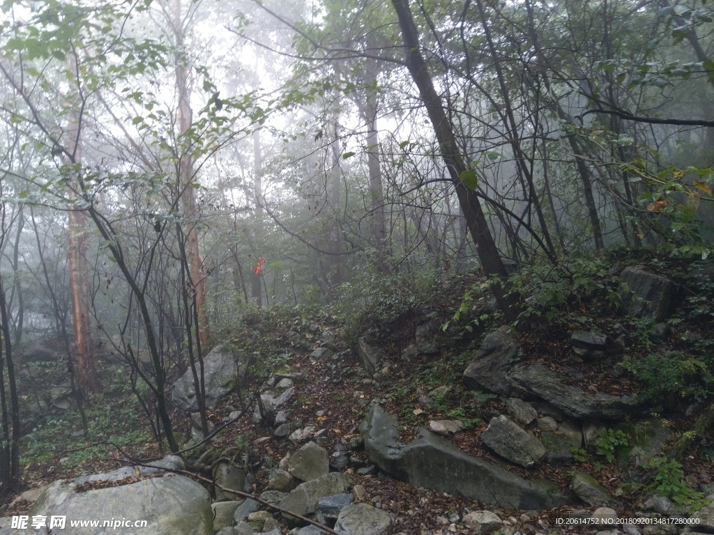 深山里的风景