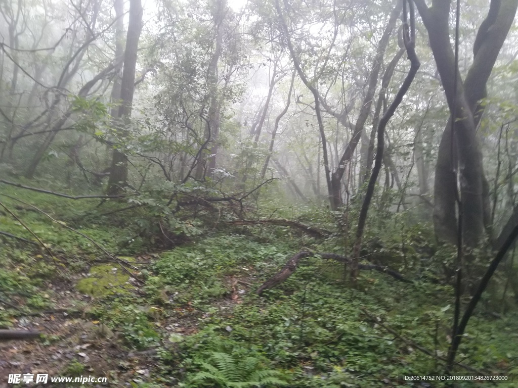 深山里的风景