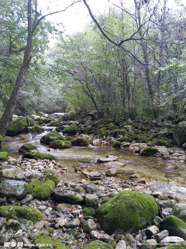 山涧溪流