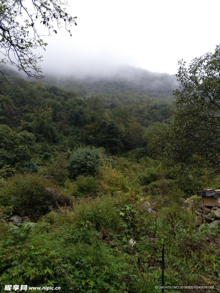 大山里的风景