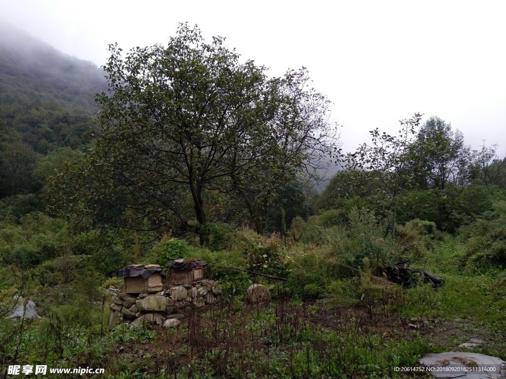 深山里的风景