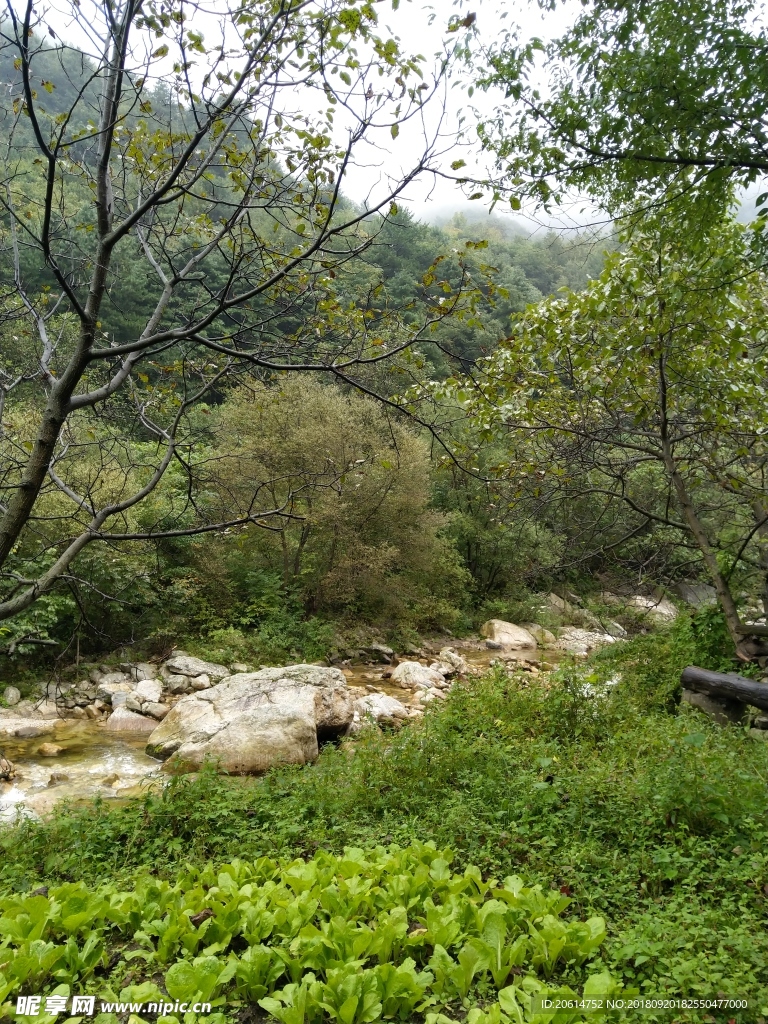 深山里的风景