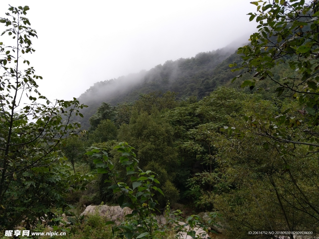 大山里的风光