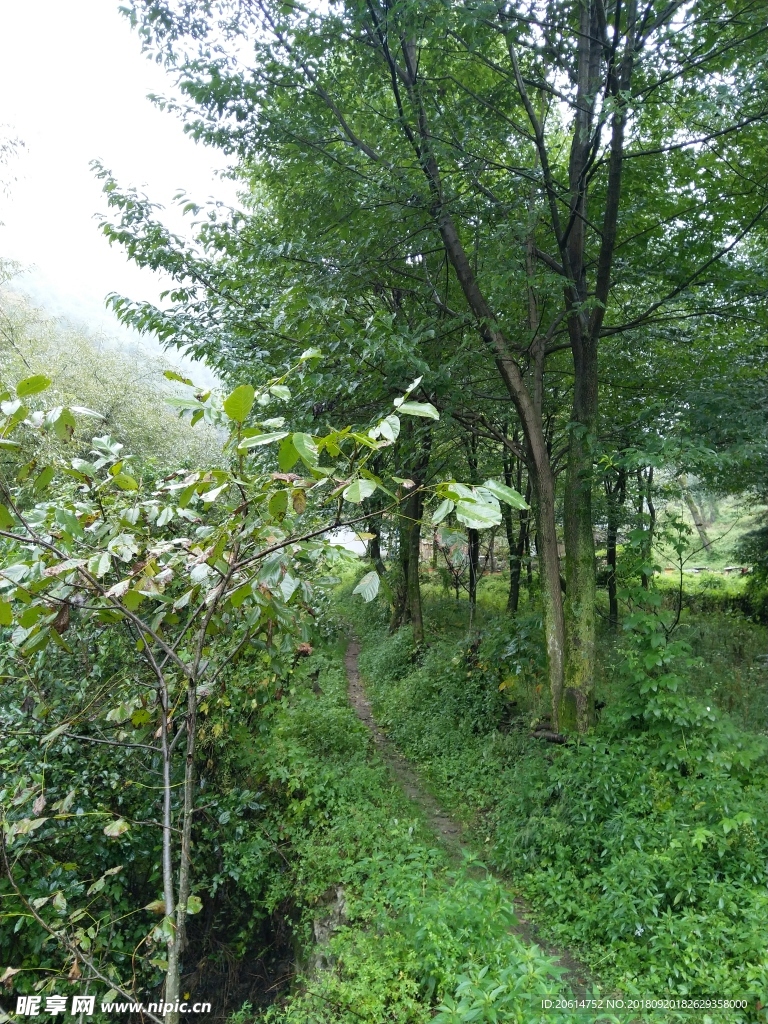 深山里的风景