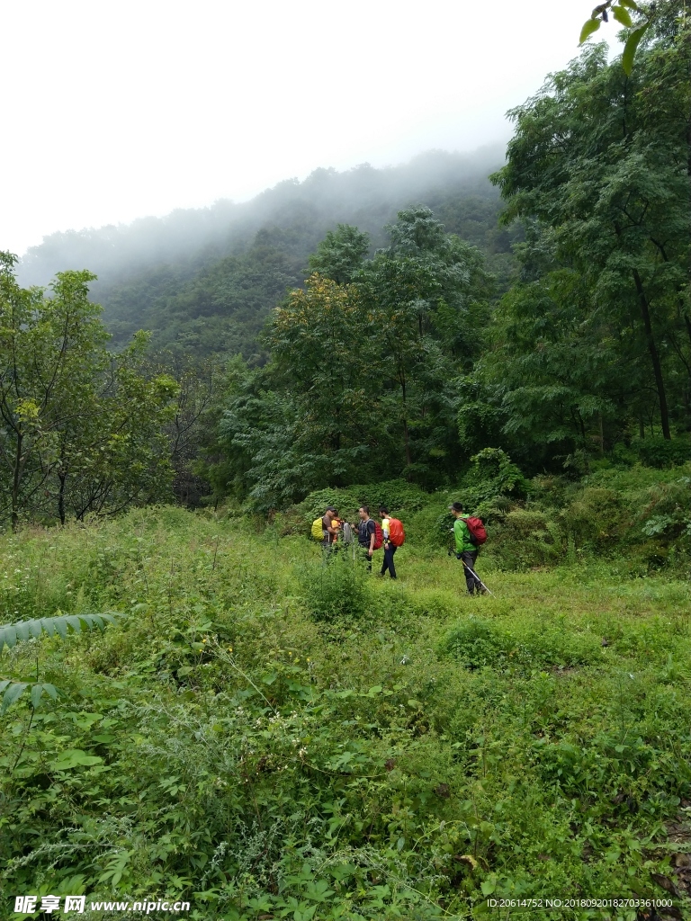 大山里的风景