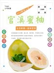 柚子海报