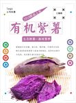 紫薯海报
