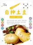 土豆海报