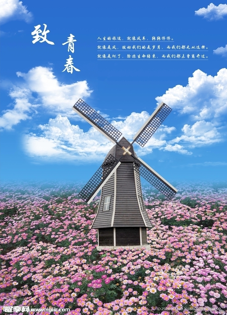 致青春