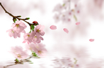 壁画