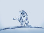 现代简约 水滴装饰画 动物挂画