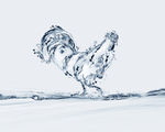 现代简约 水滴装饰画 动物挂画