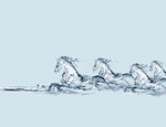 现代简约 水滴装饰画 动物挂画