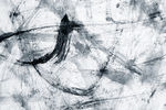 现代简约 水滴装饰画 动物挂画