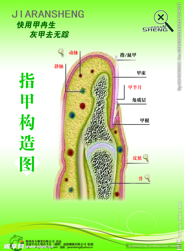 甲冉生