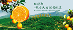 来大自然的味道
