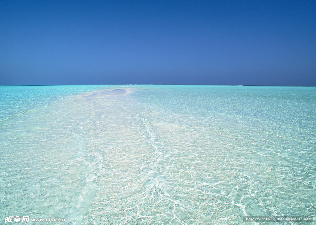 大海