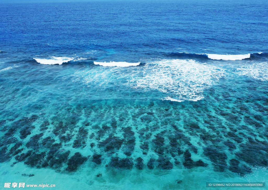 大海