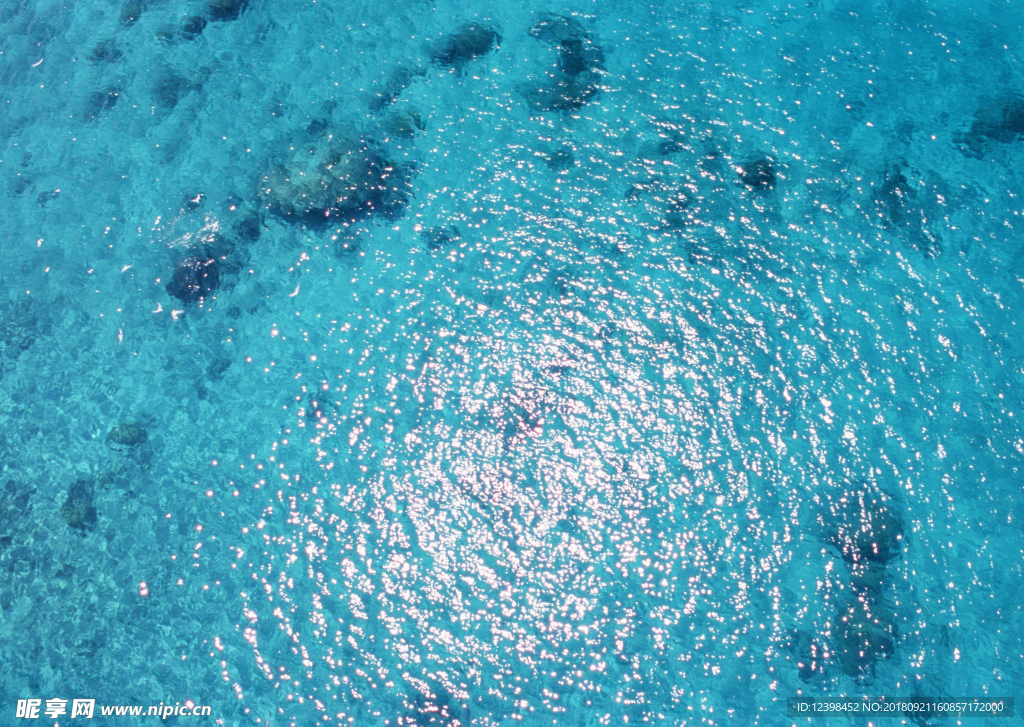 大海