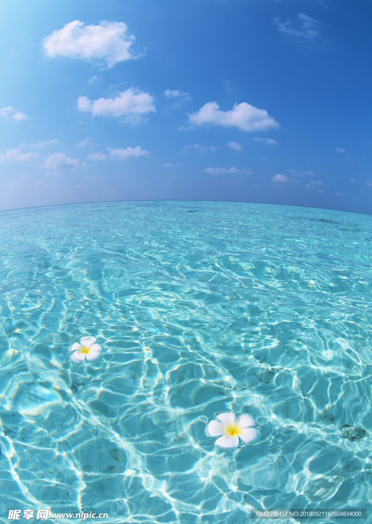 大海