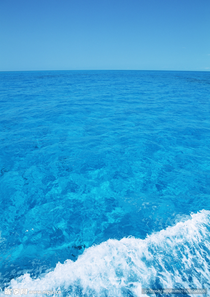 大海