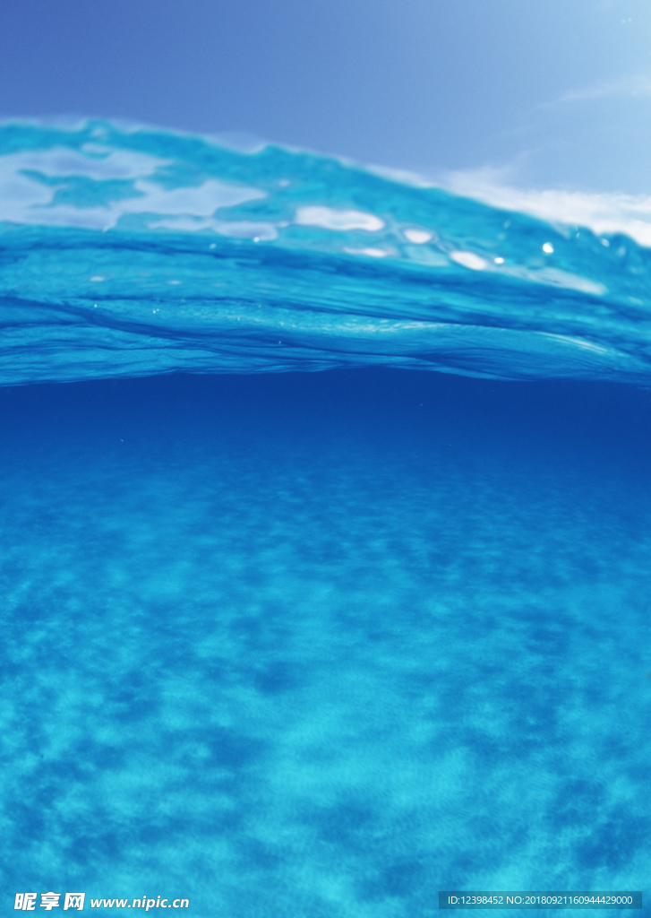 大海