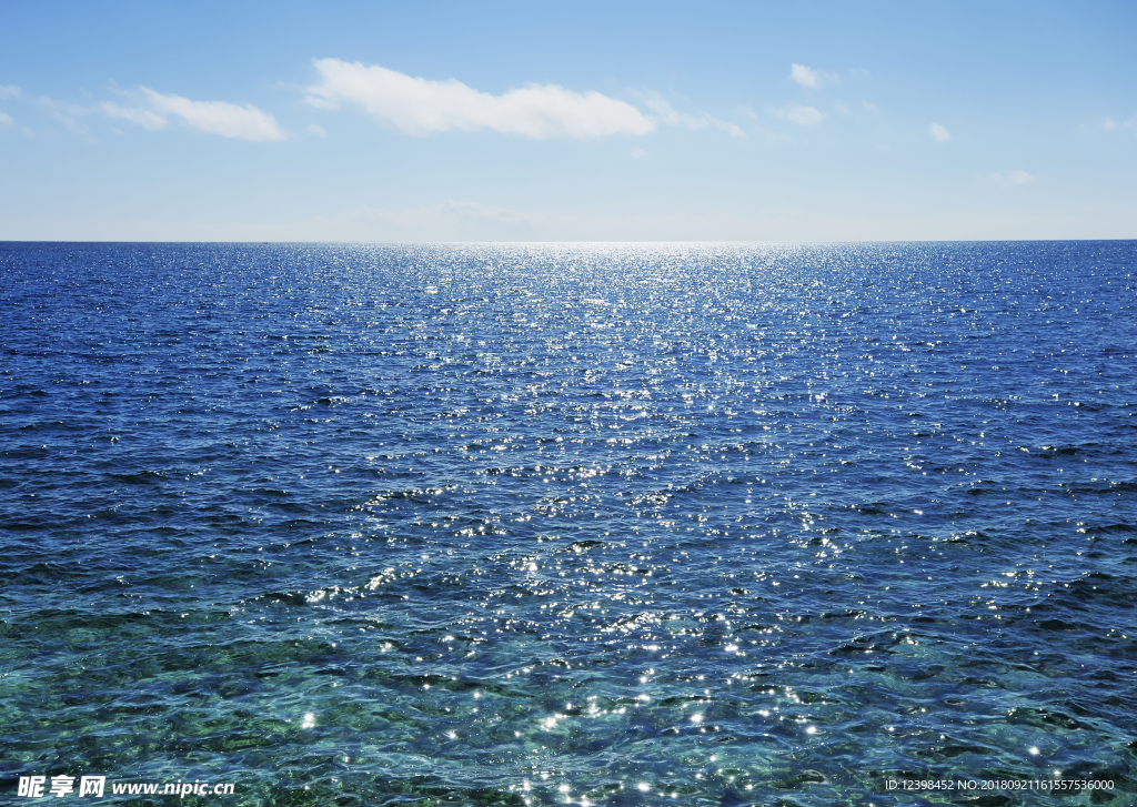 大海