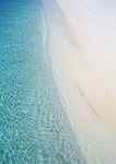 大海