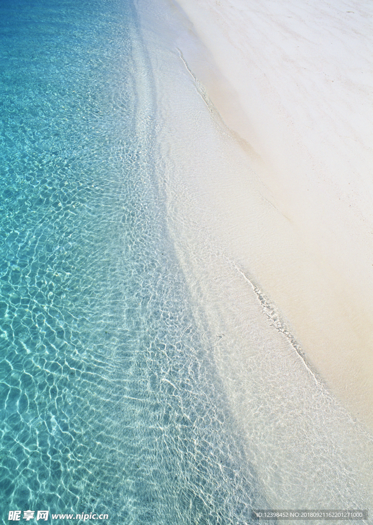 大海