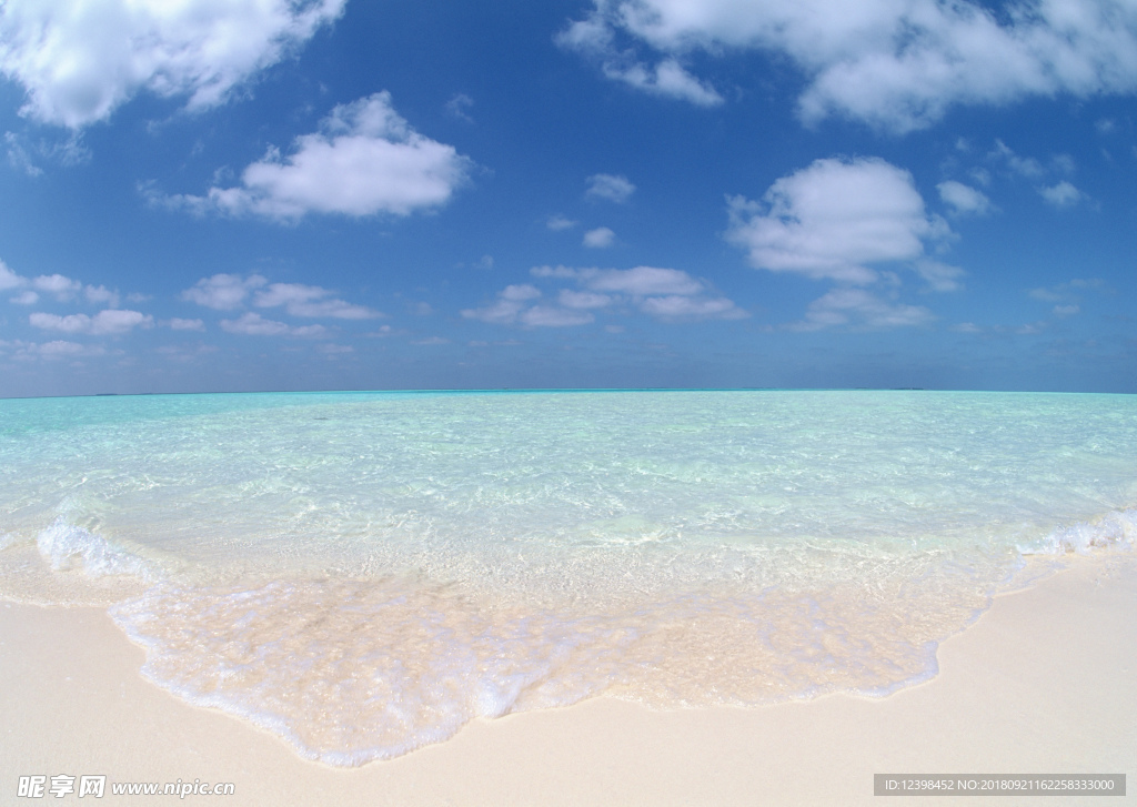 大海