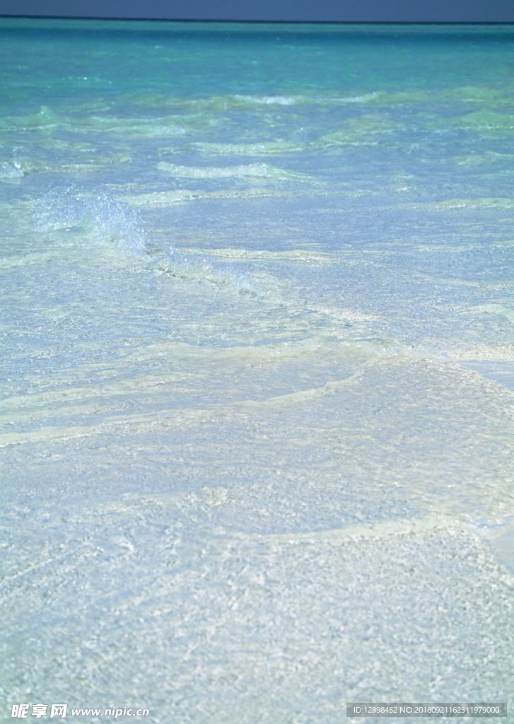 大海